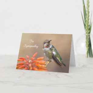 Anna's Hummingbird op Oranje Aloe Sympathie Kaart