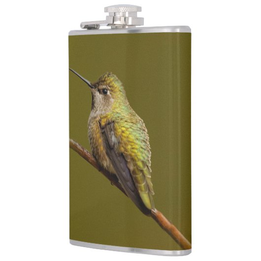 Anna's Hummingbird op Scarlet Trumpetvine Heupfles (Links)