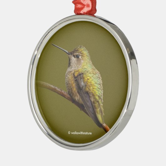 Anna's Hummingbird op Scarlet Trumpetvine Metalen Ornament (Links)