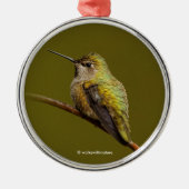 Anna's Hummingbird op Scarlet Trumpetvine Metalen Ornament (Voorkant)