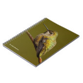 Anna's Hummingbird op Scarlet Trumpetvine Notitieboek (Linkerzijde)