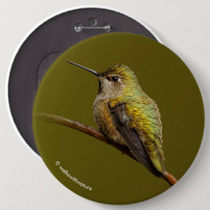 Anna's Hummingbird op Scarlet Trumpetvine Ronde Button 6,0 Cm