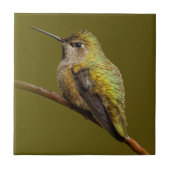 Anna's Hummingbird op Scarlet Trumpetvine Tegeltje (Voorkant)