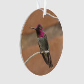 Anna's Hummingbird Ornament (voorkant)
