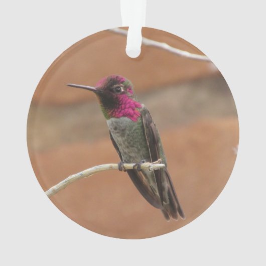 Anna's Hummingbird Ornament (achterkant)