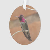 Anna's Hummingbird Ornament (voorkant)