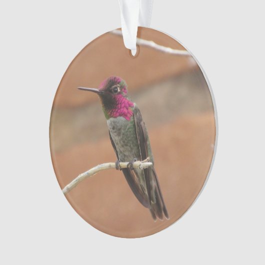 Anna's Hummingbird Ornament (voorkant)