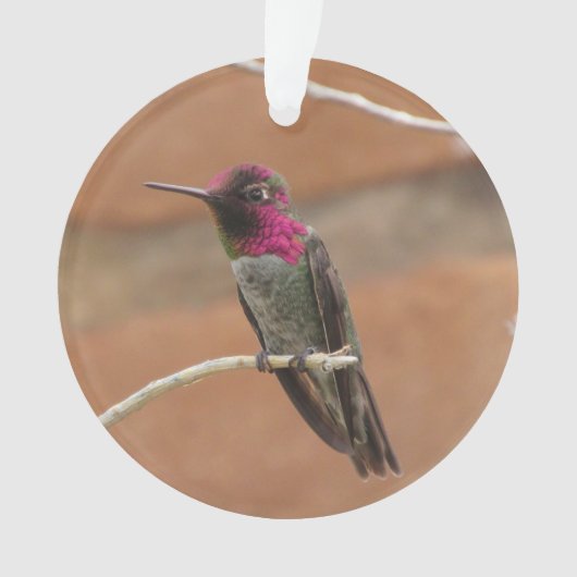 Anna's Hummingbird Ornament (voorkant)