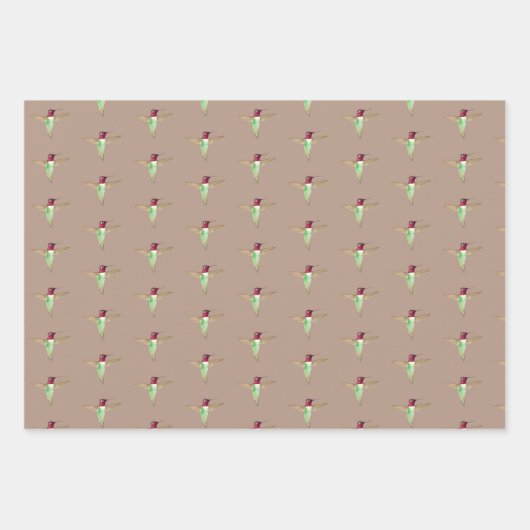 Anna's Hummingbird Pattern Inpakpapier Vel (Voorkant 2)