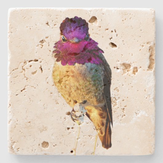Anna's Hummingbird Pink Bird Photo Stone Coaster Stenen Onderzetter (Voorkant)