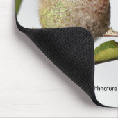 Anna's Hummingbird Poses met de Pyracantha Muismat (Hoek)