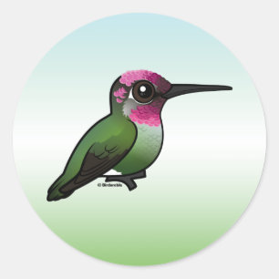 Anna's Hummingbird Ronde Sticker