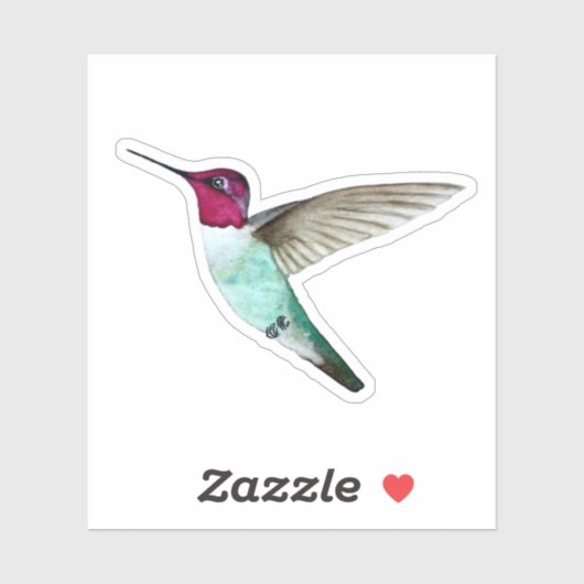 Anna's Hummingbird Sticker (Vel)