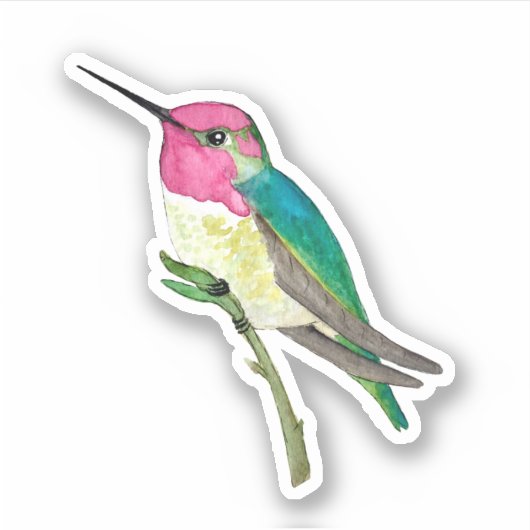 Anna's Hummingbird Sticker (Voorkant)