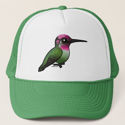 Anna's Hummingbird Trucker Pet (Voorkant)