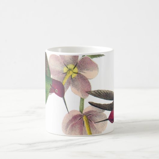 Anna's Hummingbird van Audubon Koffiemok (Center)