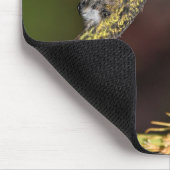 Anna's kolibrie, kolibrie, vogel muismat (Hoek)