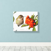 Anna's kolibrie poseert bij de Pyracantha Canvas Afdruk (Insitu (Houten vloer))