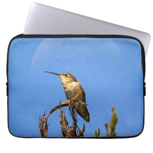 Anna's kolibrie tegen volle maan gefotografeerd laptop sleeve
