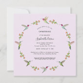 Anna's kolibries doop (Voorkant)