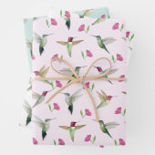 Anna's kolibries inpakpapier vel (In situ)