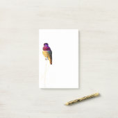Anna's Kolibrifoto 4x6 Notitieblok Post-it® Notes (Op bureau)
