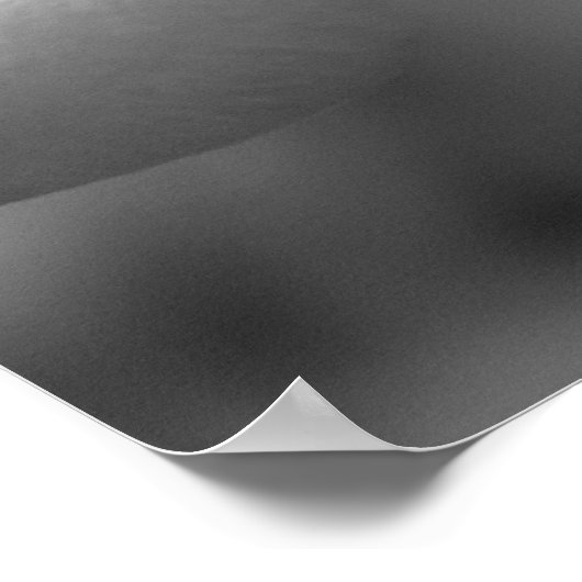 Anna's Roos Poster (Hoek)