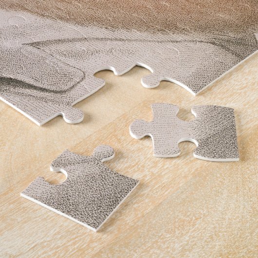 Anne Boleyn (1507-36), gegraveerd door Francesco B Legpuzzel (Zijkant)