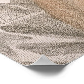 Anne Boleyn (1507-36), gegraveerd door Francesco B Poster (Hoek)