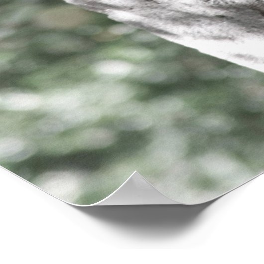 Anne en Cross 16x20 Poster (Hoek)