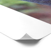 Anne en Diana Poster (Hoek)