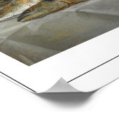 Anne Vallayer-Coster Zedign Art Poster #2 (Hoek)