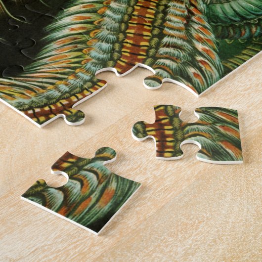 Annelids van Ernst Haeckel Legpuzzel (Zijkant)
