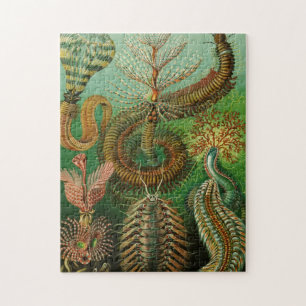 Annelids van Ernst Haeckel Legpuzzel