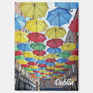 Anne's Lane Dublin Ierland Reizen Magneet