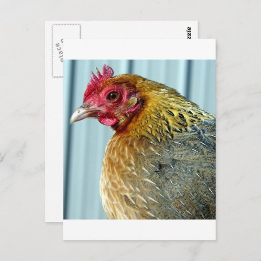 Annie Briefkaart (Voorkant / Achterkant)