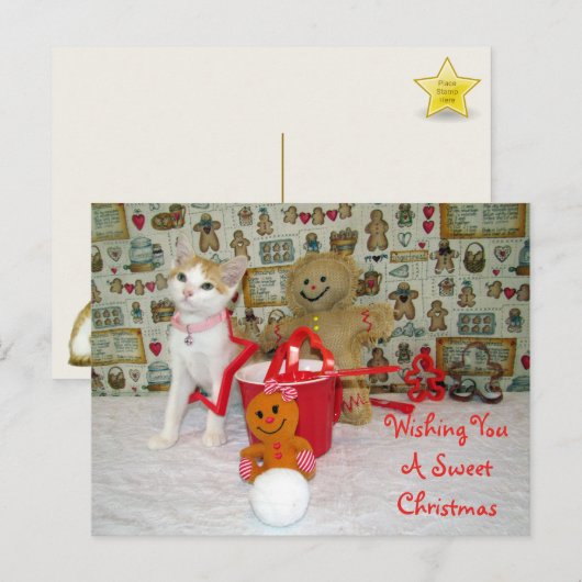 Annie Cat Gingerbread Christmas Briefkaart (Voorkant / Achterkant)
