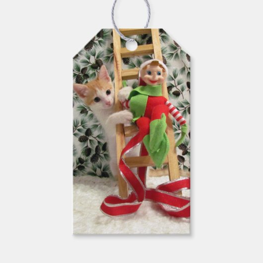 Annie en Elf - Cat / Kitten Gift Label Cadeaulabel (Voorkant)