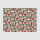 Annie en Elf - Kat / Keukenpapier Tissuepapier (Voorkant)