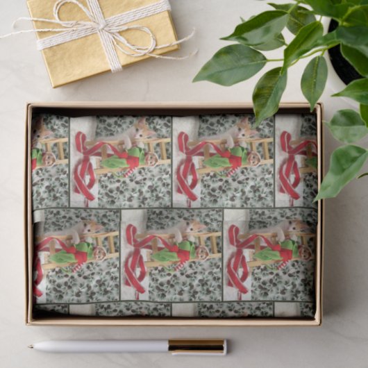 Annie en Elf - Kat / Keukenpapier Tissuepapier (Geschenk)