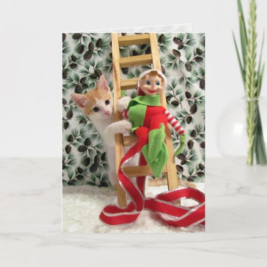 Annie en Elf - Kat / Keuten Kerstmis Kaart (Voorkant)