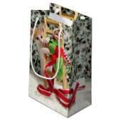Annie en Elf Kerstmis - Cat/Kitten Gift Bag Klein Cadeauzakje (Achterkant Gekanteld)