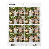 Annie, Lily, Lily, Roos van John Singer Sargent Etiket (Full Sheet)