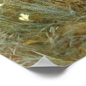 Annie, Lily, Lily, Roos van John Singer Sargent Poster (Hoek)