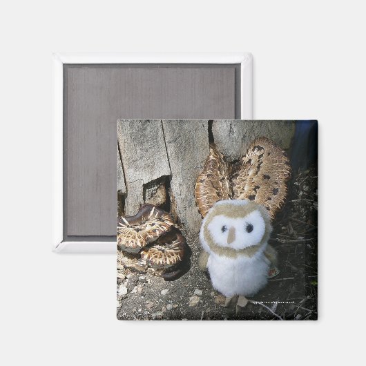 Annie & Paddenstoelen Magneet (Voorkant / Achterkant)