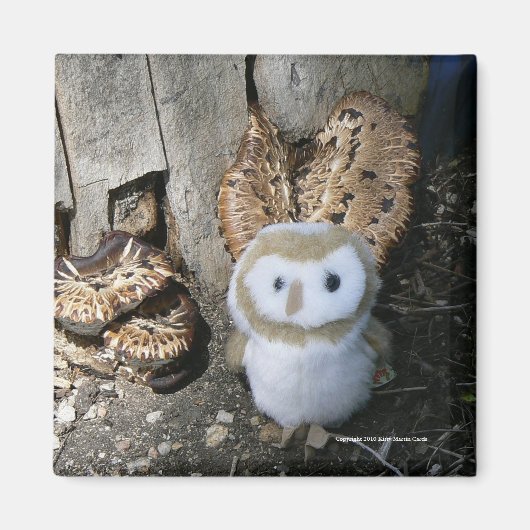 Annie & Paddenstoelen Magneet (Voorkant)