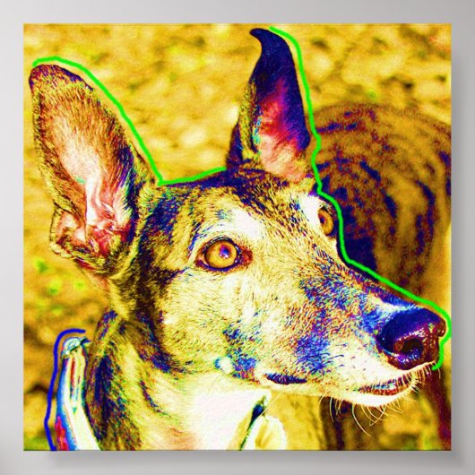 Annie Poster (Voorkant)