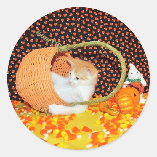 Annie's Basketful of Fun Cat Halloween Stickers (Voorkant)