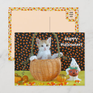 Annie's Halloween Mand Kat /Kitten Briefkaart