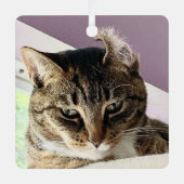 Annie's kerstversiering metalen ornament (Voorkant)